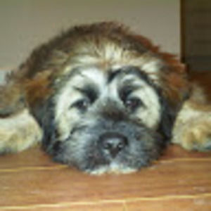 Meet your Posher, Alexandra